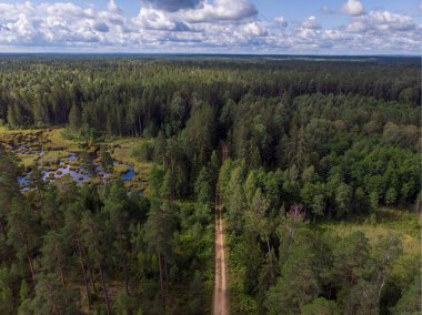 Ormanda küçük bir yolun gerçek bir drone görüntüsü. Fotoğraf, sıcak bulutlu bir yaz gününde çekildi..