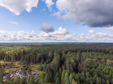 Ormanda küçük bir yolun gerçek bir drone görüntüsü. Fotoğraf, sıcak bulutlu bir yaz gününde çekildi..