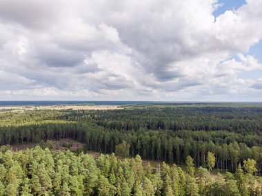 Güzel bir kırsal ormanın insansız hava aracı görüntüsü. Fotoğraf bulutlu bir yaz gününde çekildi..