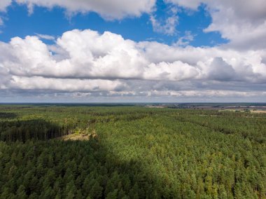 Güzel bir kırsal ormanın insansız hava aracı görüntüsü. Fotoğraf bulutlu bir yaz gününde çekildi..