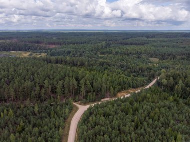 Çakıl taşlı orman otomobili yolu ve büyük orman manzaralı gerçek bir uçak. Fotoğraf, sıcak bir bulutlu günde çekildi..