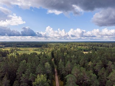 Araba yolu olan güzel bir kırsal ormanın insansız hava aracı manzarası. Fotoğraf sıcak ve bulutlu bir yaz gününde çekildi..