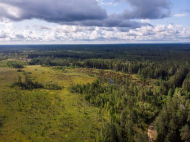 Gerçek bir drone kuş bakışı doğal kırsal manzaranın uçuşu görüntüsü. Fotoğraf sıcak ve bulutlu bir yaz gününde çekildi..