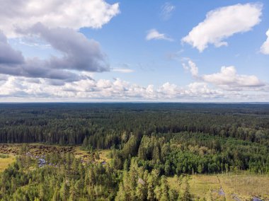 Gerçek bir drone kuş bakışı doğal kırsal manzaranın uçuşu görüntüsü. Fotoğraf sıcak ve bulutlu bir yaz gününde çekildi..
