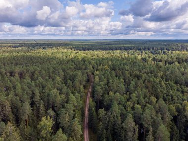 Yeşil doğal orman manzaralı gerçek bir drone. Fotoğraf sıcak ve bulutlu bir yaz gününde çekildi..