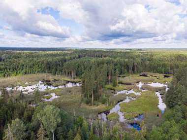Ortasında ağaçlar olan orman bataklığı olan gerçek bir kuş bakışı. Fotoğraf bulutlu bir yaz gününde bulutlu bir gökyüzü ile çekildi..