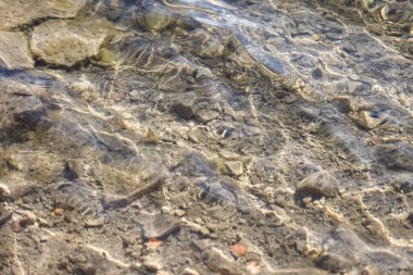 Beautiful clear water with small rocks on the bottom. Photo taken on a warm sunny autumn day.