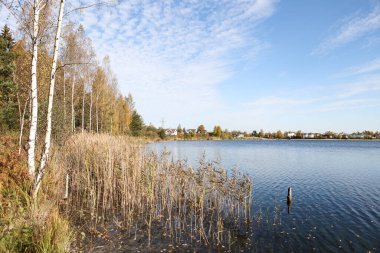 Small lake view on a lovely, sunny autumn day. Photo taken near forest.