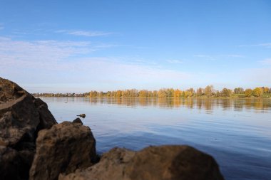 Autumn landscape view near river with autumn trees. Photo taken on a warm autumn day.