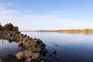 Autumn landscape view near river with autumn trees. Photo taken on a warm autumn day.