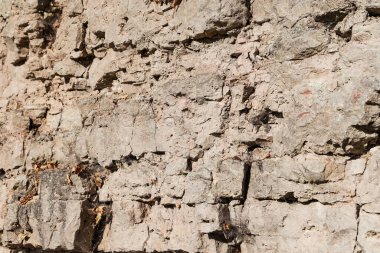 Natural view of dolomite outcrop wall in nature. Photo taken in autumn, in daylight.