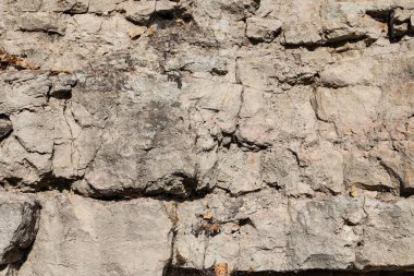 Natural view of dolomite outcrop wall in nature. Photo taken in autumn, in daylight.