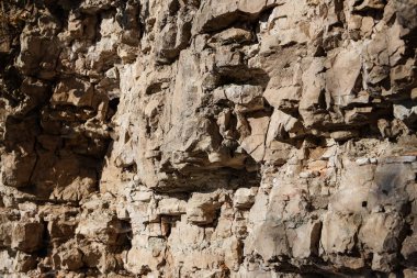 Natural view of dolomite outcrop wall in nature. Photo taken in autumn, in daylight.