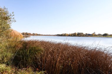 Lovely autumn view with seagrass and river Daugava. Photo taken on a clear, sunny october day.