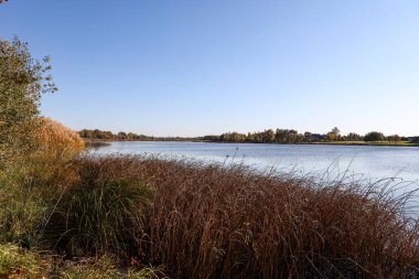 Lovely autumn view with seagrass and river Daugava. Photo taken on a clear, sunny october day.