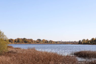 Lovely autumn view with seagrass and river Daugava. Photo taken on a clear, sunny october day.