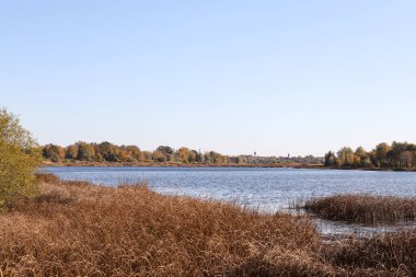 Lovely autumn view with seagrass and river Daugava. Photo taken on a clear, sunny october day.