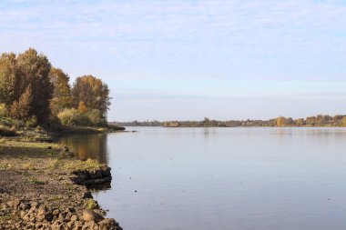Autumn landscape view near river with autumn trees. Photo taken on a warm autumn day.