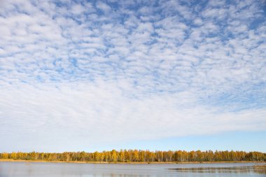 Sonbaharda küçük gölü olan güzel manzara doğa fotoğrafçılığı. Güzel bulutlu gökyüzü.