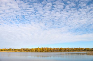 Sonbaharda küçük gölü olan güzel manzara doğa fotoğrafçılığı. Güzel bulutlu gökyüzü.