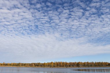 Sonbaharda küçük gölü olan güzel manzara doğa fotoğrafçılığı. Güzel bulutlu gökyüzü.