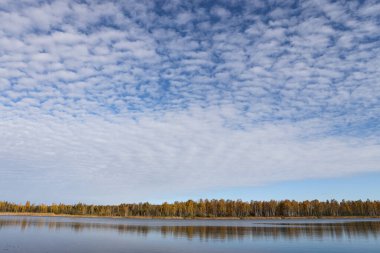 Gölet, orman ve bulutlu gökyüzü ile güzel bir deniz manzarası. Fotoğraf sonbahar havasında çekildi..
