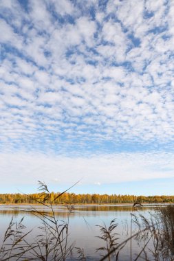 Küçük bulutları olan güzel mavi gökyüzü. Fotoğraf güzel renkli bir Ekim gününde çekildi..