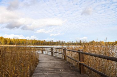 Güzel bir sonbahar manzarası. Göl ve ormanın yanında. Ağaçların üzerinde yürüyüş izleri var. Bulutlu bulutlu güneşli hava.
