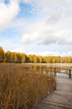 Güzel bir sonbahar manzarası. Göl ve ormanın yanında. Ağaçların üzerinde yürüyüş izleri var. Bulutlu bulutlu güneşli hava.