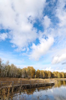 Sakin göletli güzel doğa manzarası. Fotoğraf sıcak, bulutlu bir sonbahar gününde çekildi..