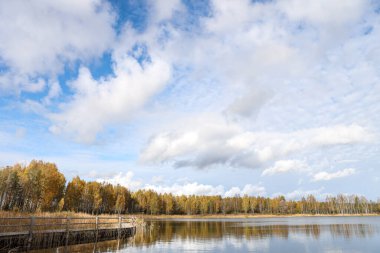 Sakin göletli güzel doğa manzarası. Fotoğraf sıcak, bulutlu bir sonbahar gününde çekildi..