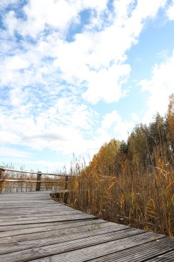 Güzel bir sonbahar manzarası. Göl ve ormanın yanında. Ağaçların üzerinde yürüyüş izleri var. Bulutlu bulutlu güneşli hava.