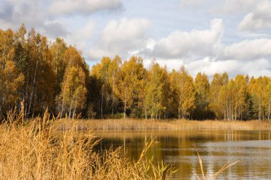 Ağaçlarla, gölle ve bulutlu gökyüzüyle güzel bir sonbahar manzarası. Fotoğraf Ekim 'de çekildi.