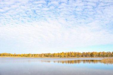 Sonbaharda küçük gölü olan güzel manzara doğa fotoğrafçılığı. Güzel bulutlu gökyüzü.