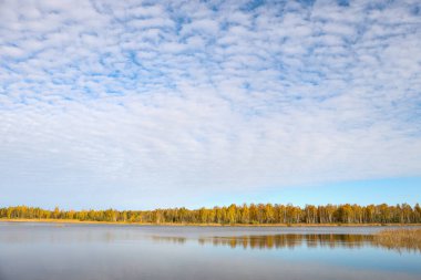 Sonbaharda küçük gölü olan güzel manzara doğa fotoğrafçılığı. Güzel bulutlu gökyüzü.