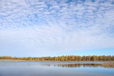 Sonbaharda küçük gölü olan güzel manzara doğa fotoğrafçılığı. Güzel bulutlu gökyüzü.