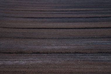 Turba yosunlu turba manzarası. Fotoğraf sıcak, bulutlu bir sonbahar gününde çekildi..
