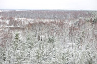 Karlı havada gerçek bir dron tipi kış fotoğrafçılığı. Fotoğraf, oval bir günde çekildi..