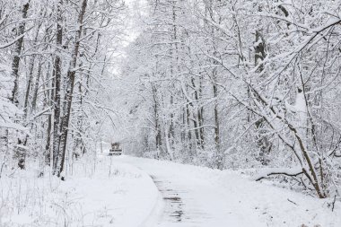 Karlı beyaz kış yolu küçük kırsal ormanda. Fotoğraf soğuk bir kış gününde çekildi..