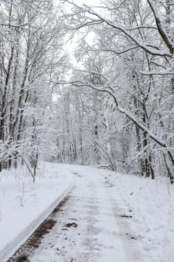 Karlı beyaz kış yolu küçük kırsal ormanda. Fotoğraf soğuk bir kış gününde çekildi..
