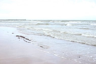 Baltık Denizi manzaralı. Bulutlu hava.