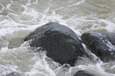 Baltık deniz dalgalarıyla geniş çaplı arama. Fotoğraf sıcak, bulutlu bir sonbahar gününde çekildi..