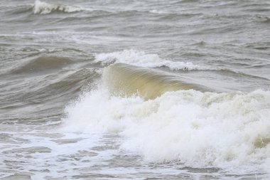 Baltık Denizi Suyu, Baltık Kıyısı 'nın yakınındaki desen detaylarını ortaya çıkarıyor. Fotoğraf, sonbaharda sıcak bir bulutlu günde çekildi..