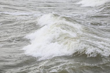 Baltık deniz suyu doku görüşünü kapatır. Fotoğraf sıcak, bulutlu bir sonbahar gününde çekildi..