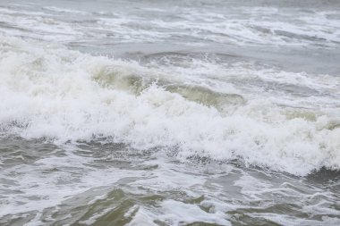 Baltık deniz suyu doku görüşünü kapatır. Fotoğraf sıcak, bulutlu bir sonbahar gününde çekildi..