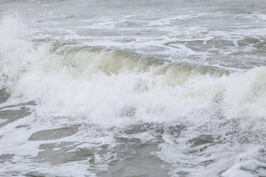 Baltık deniz suyu doku görüşünü kapatır. Fotoğraf sıcak, bulutlu bir sonbahar gününde çekildi..