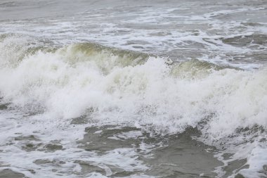 Baltık deniz suyu doku görüşünü kapatır. Fotoğraf sıcak, bulutlu bir sonbahar gününde çekildi..