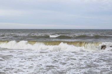 Baltık deniz manzaralı kıyı şeridi ve küçük dalgalar. Fotoğraf sıcak, bulutlu bir sonbahar gününde çekildi..