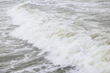 Baltık deniz suyu doku görüşünü kapatır. Fotoğraf sıcak, bulutlu bir sonbahar gününde çekildi..