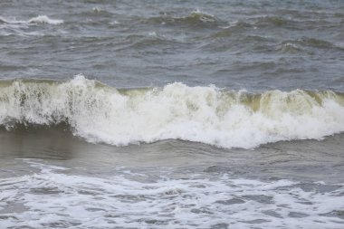 Baltık deniz suyu doku görüşünü kapatır. Fotoğraf sıcak, bulutlu bir sonbahar gününde çekildi..